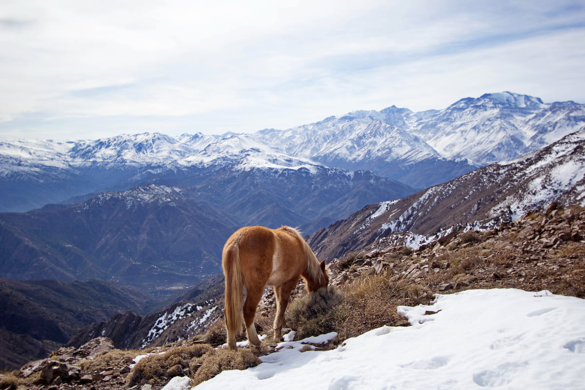 Parque Puente Ñilhue, Santiago Metropolitan